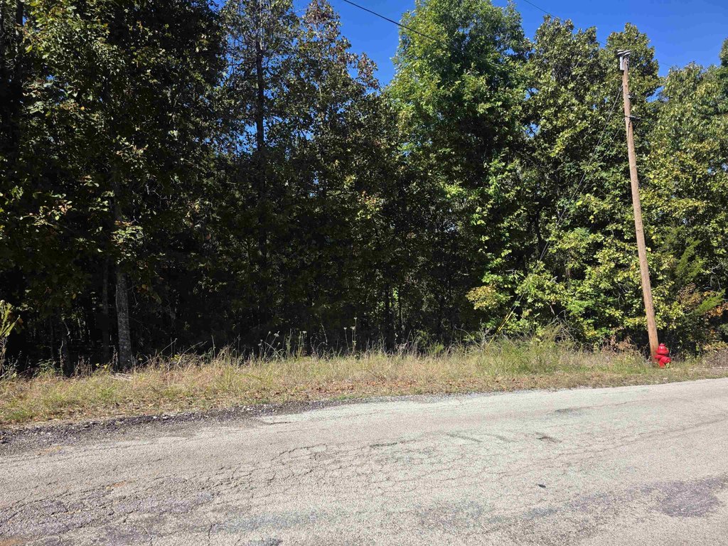 Picture 16