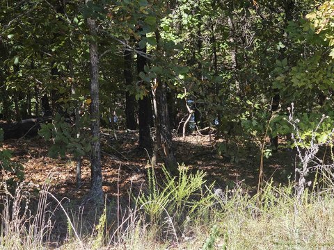 Vacant Land, Cherokee Village, AR