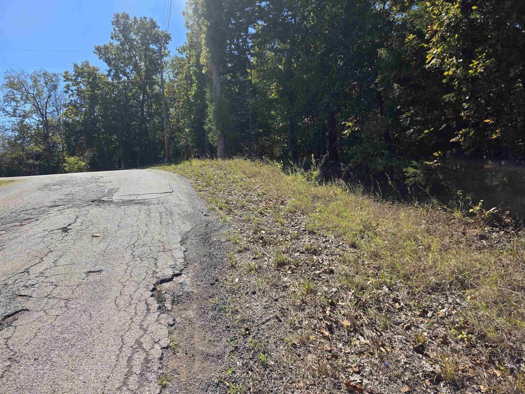 Picture 5