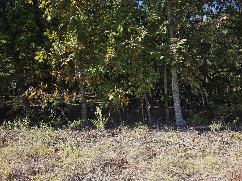 Picture 6