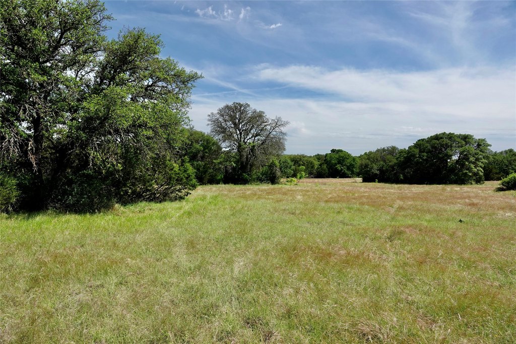 Picture 26
