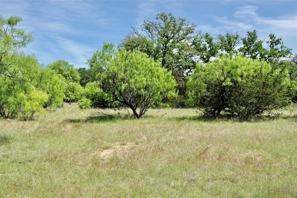 Picture 23