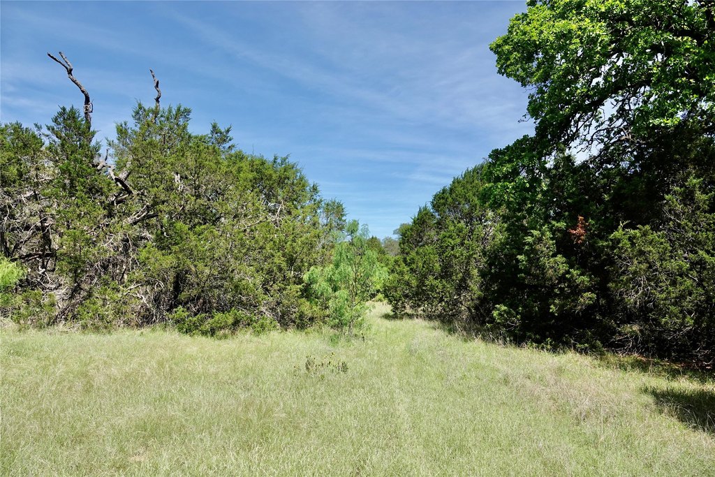 Picture 15