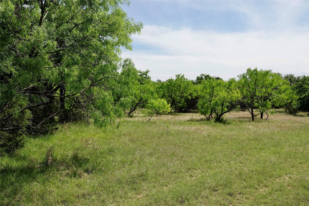 Picture 22