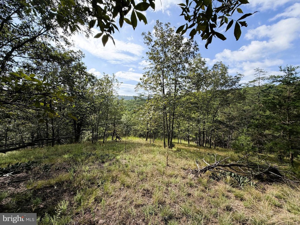 Picture 30