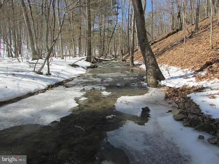 Picture 19