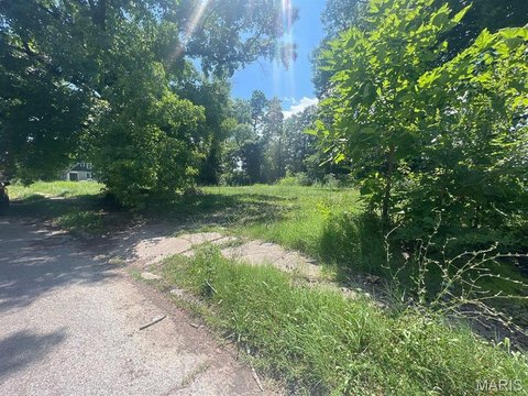 Residential Land in East St Louis