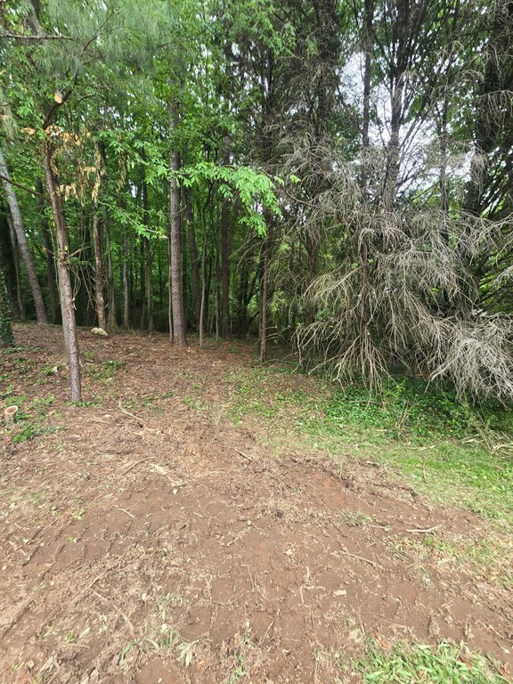 Picture 3