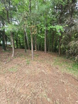 Residential Lot in Ryman Farms