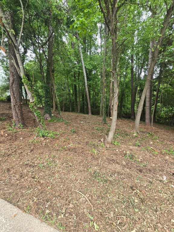 Picture 4