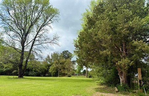 CROCKETT, TX - 1 Acre Land