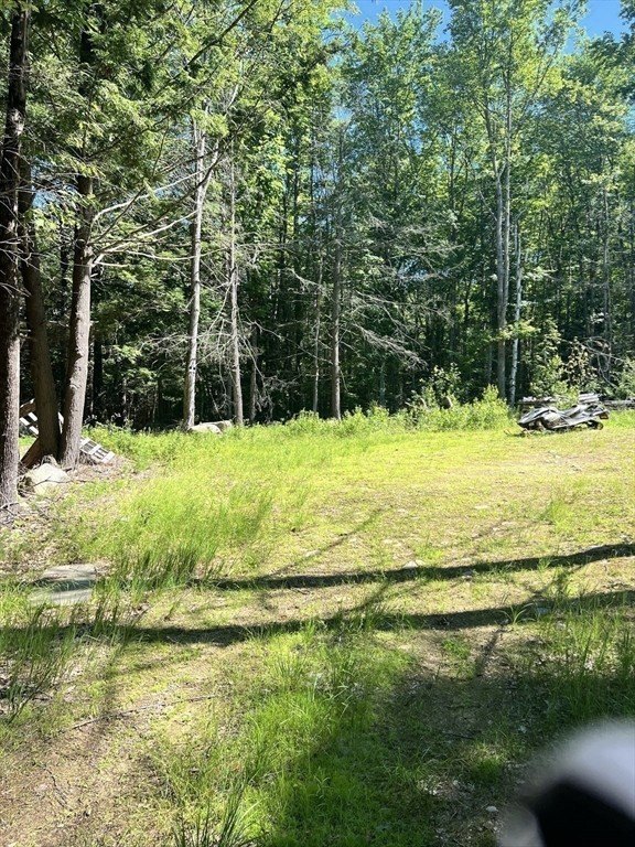 Picture 6