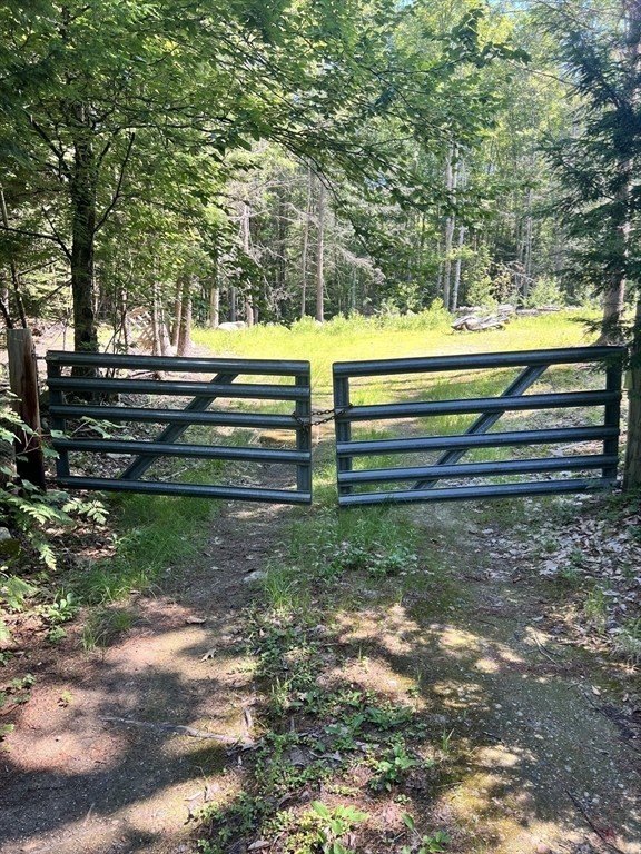 Picture 9