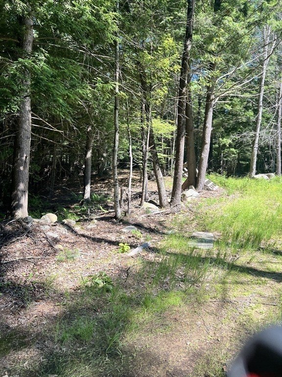 Picture 18