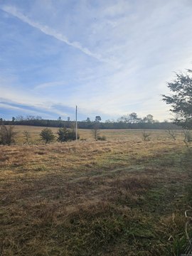 54.5 Acres Fenced Land