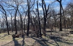 Land, Azle, TX