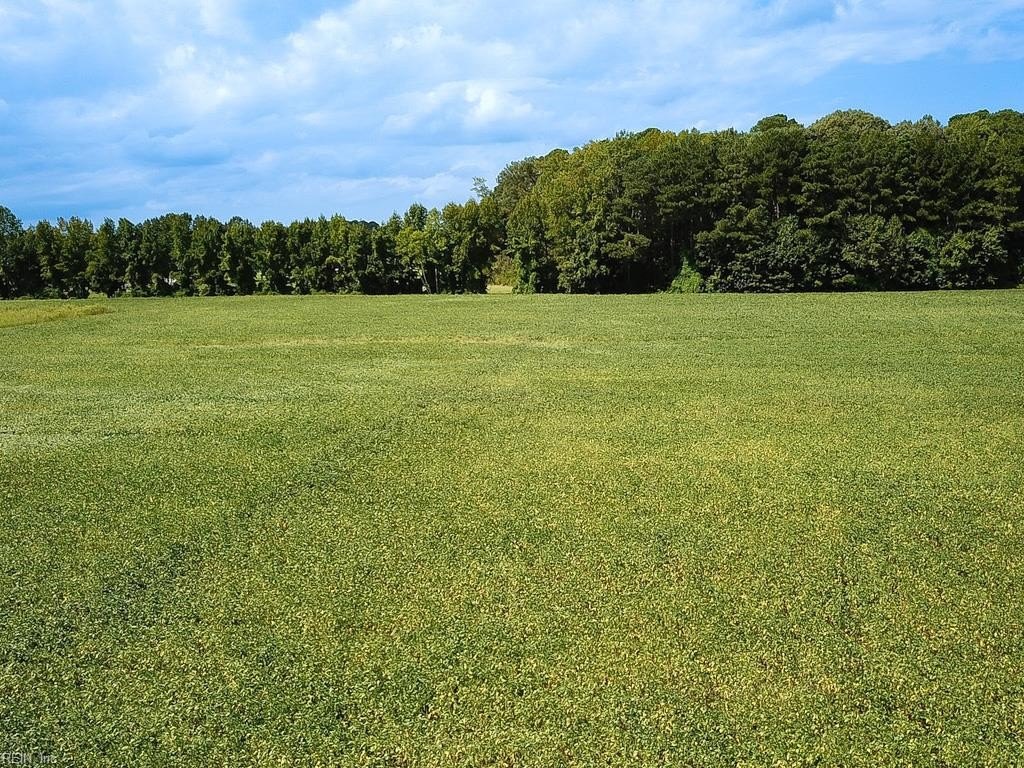 Picture 19