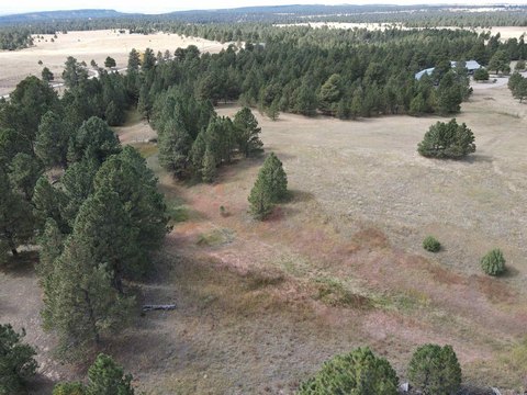 Newcastle Acreage for Residential Development