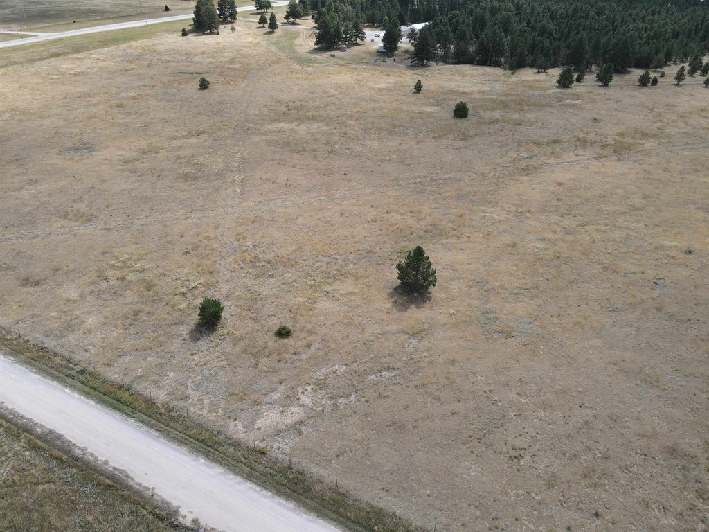 Picture 11