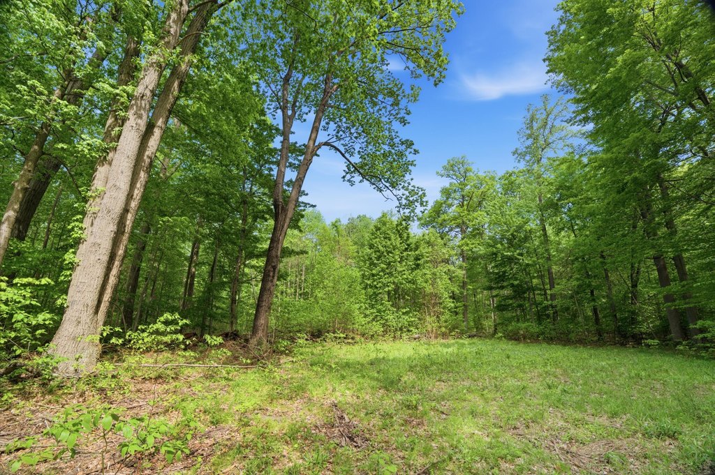 Picture 7