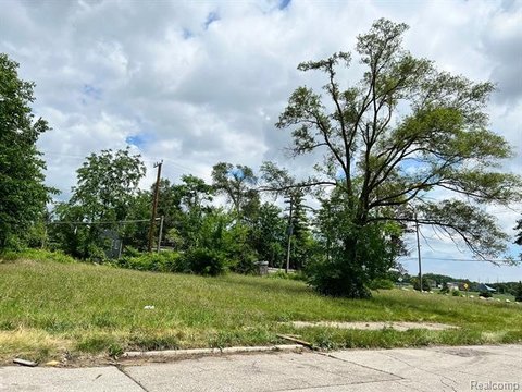Residential Land in Detroit, MI
