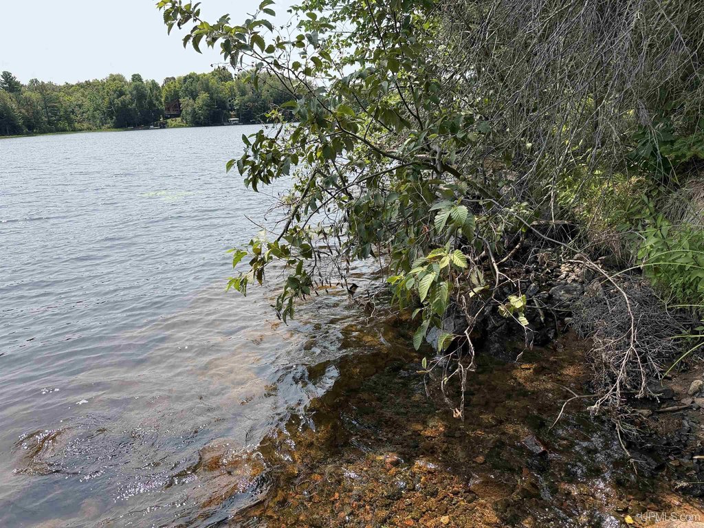 Picture 19
