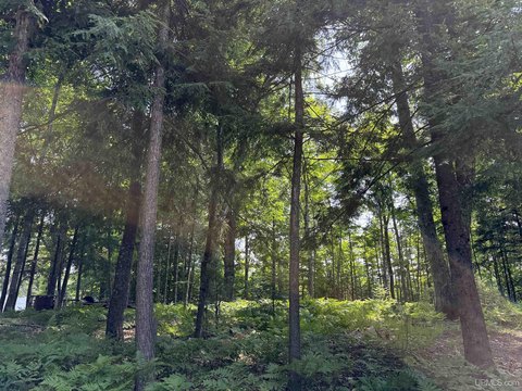 Waterfront Residential Development Land