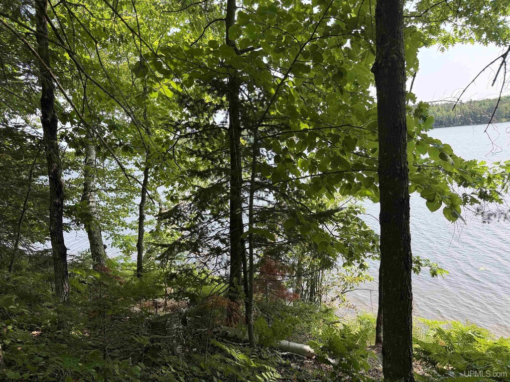 Picture 20