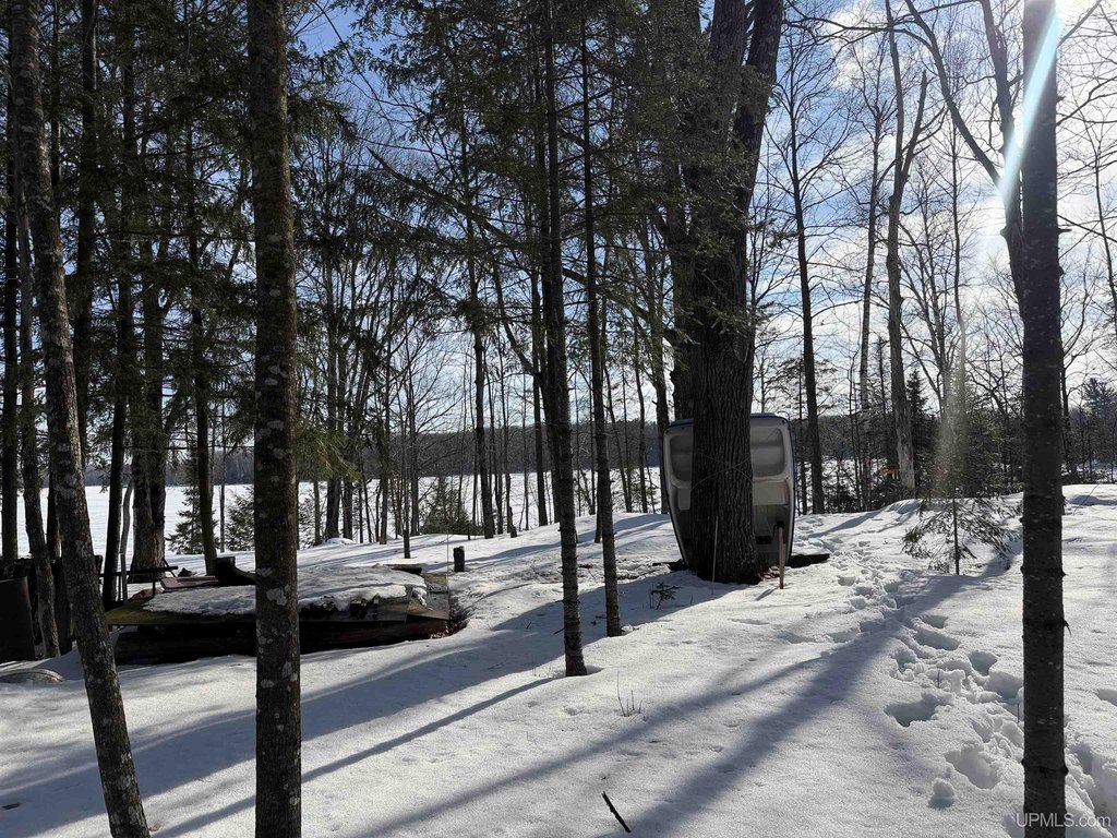 Picture 17