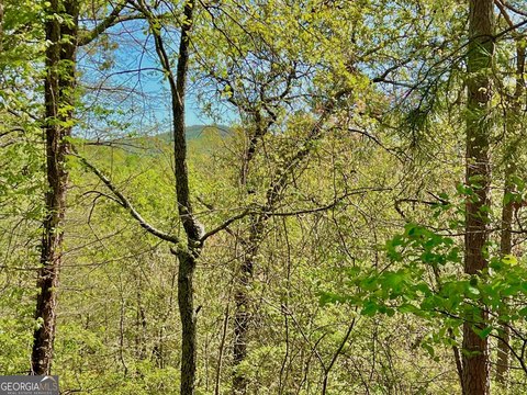 Ranger, GA Land For Sale