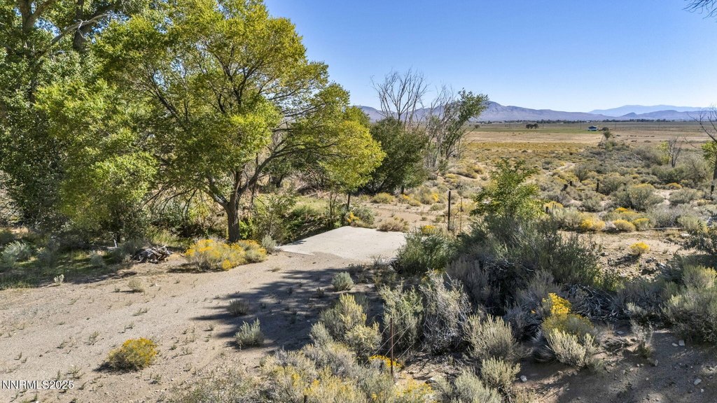 Picture 10