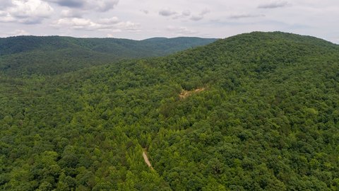 Bear Hunting Tract Adjacent to National Forest
