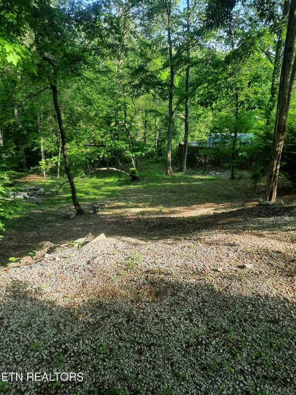 Picture 5
