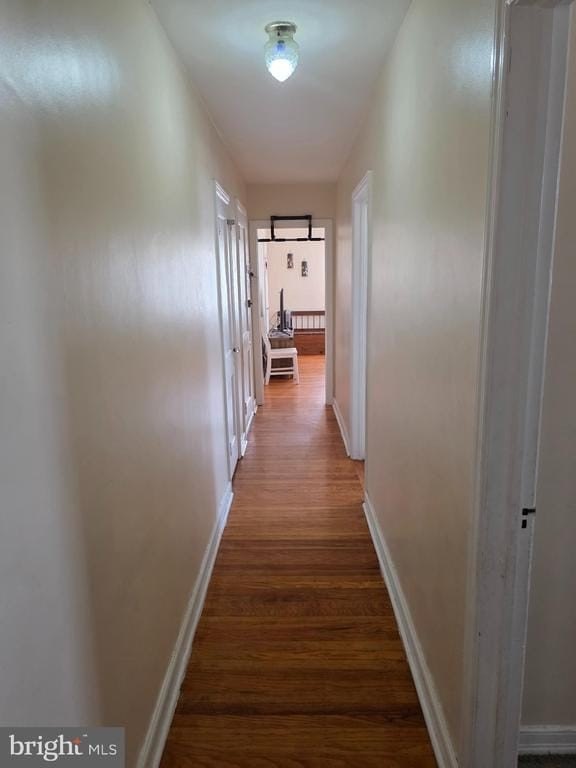 Picture 19
