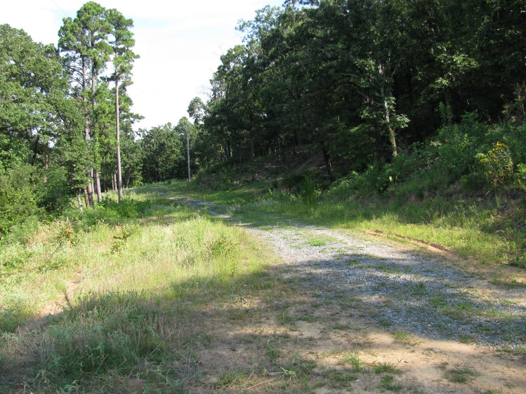 Picture 4