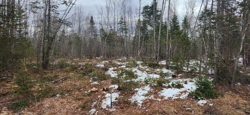 Greenbush Land with River Access