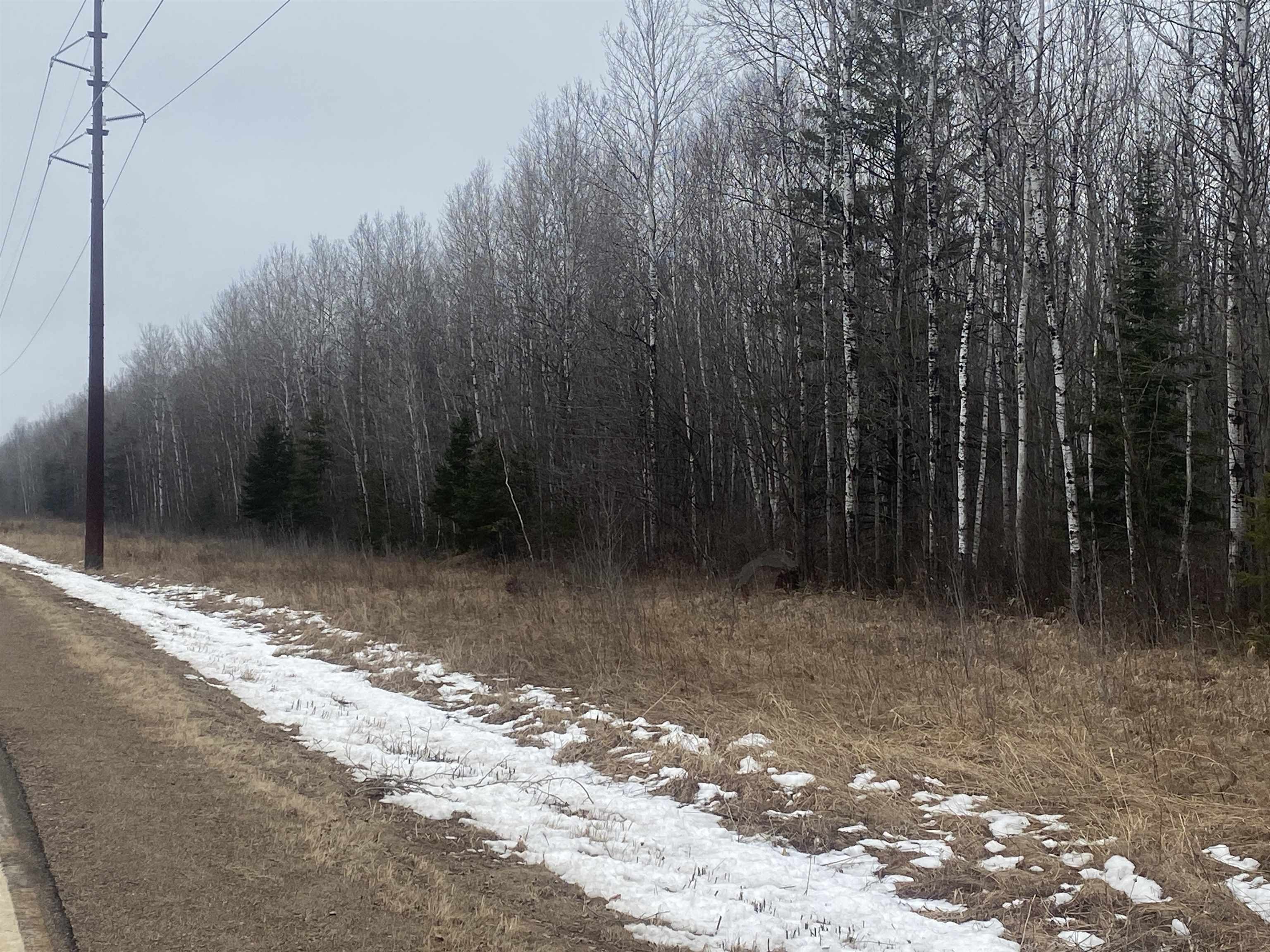 120 Acres of Forestland