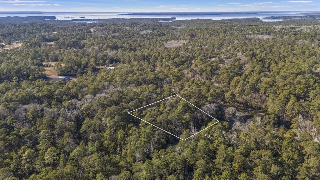 Land in Rayburn Country