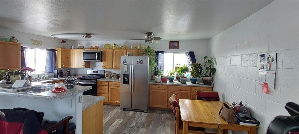 Picture 15