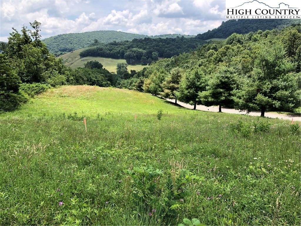 Wooded Land with Mountain Views