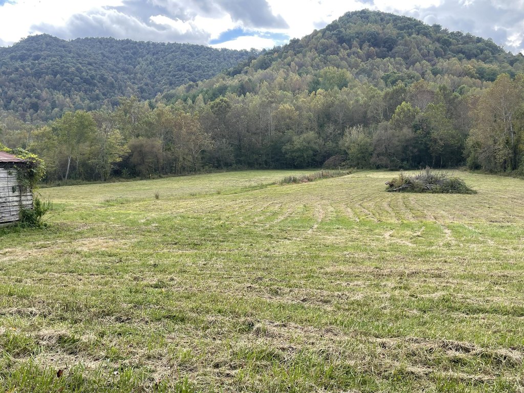 Picture 19