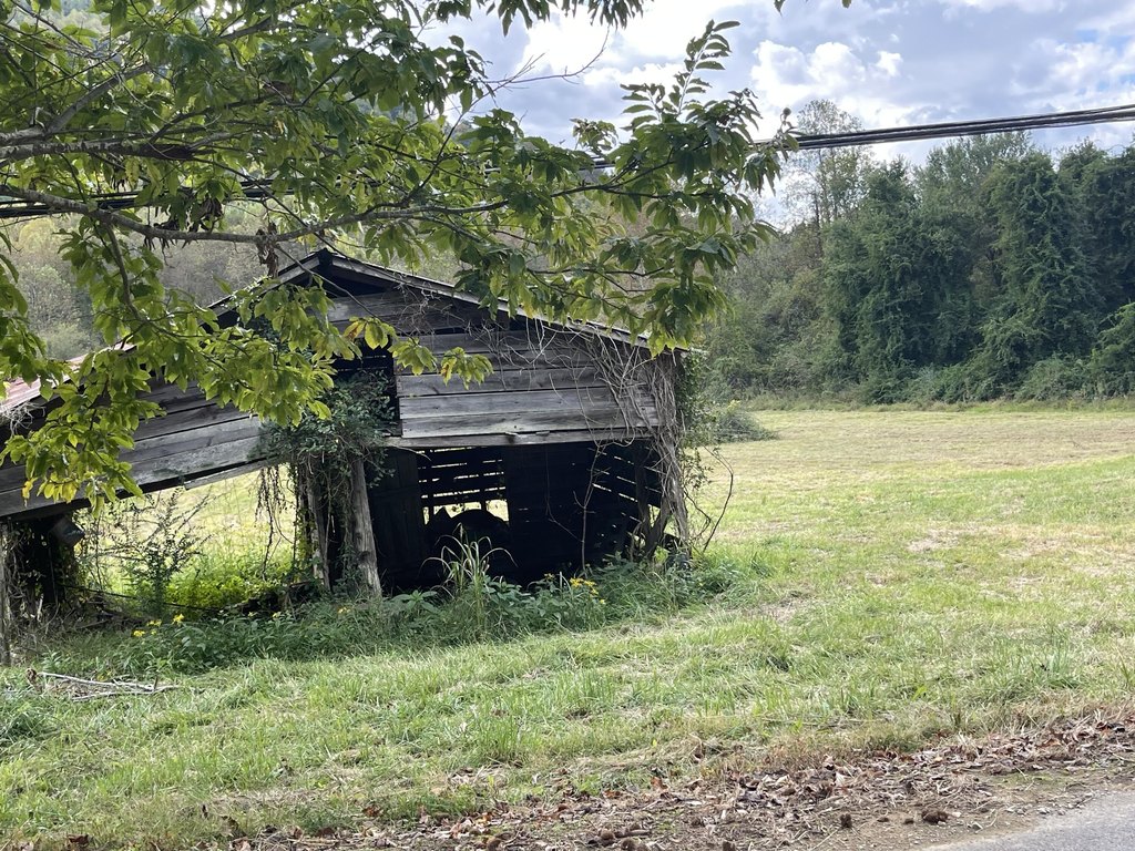 Picture 16