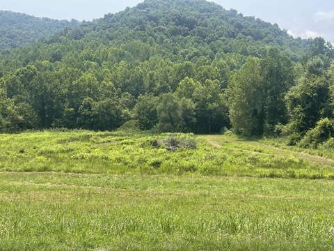 LAND - Flat Lick, KY