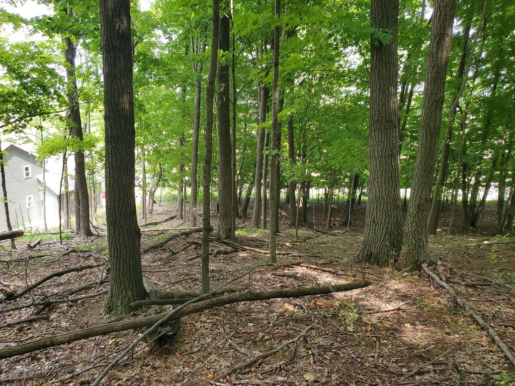 Picture 6