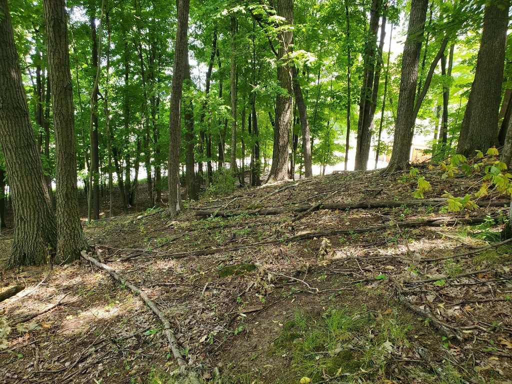 Picture 7