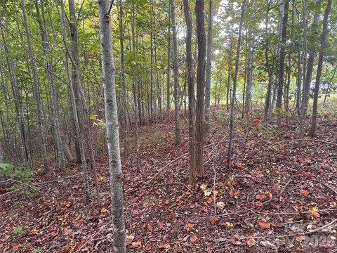 LAND - Nebo, NC