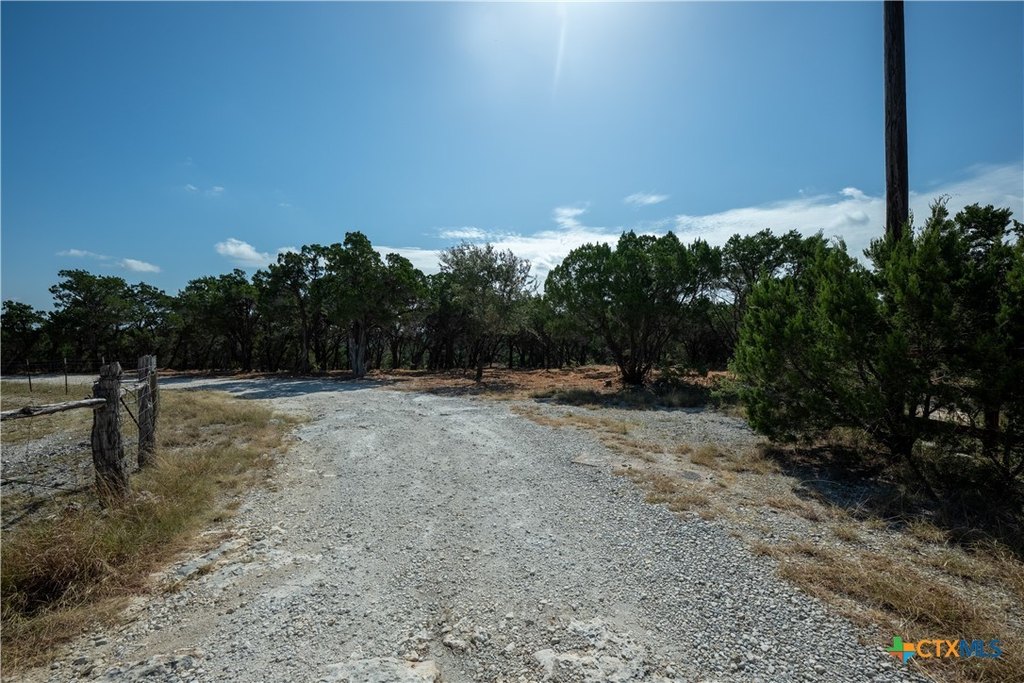 Picture 30