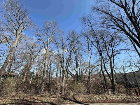 Residential Land with Dual Road Frontage