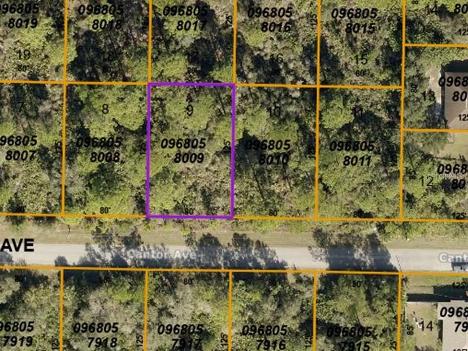 Residential Lot in Growing North Port