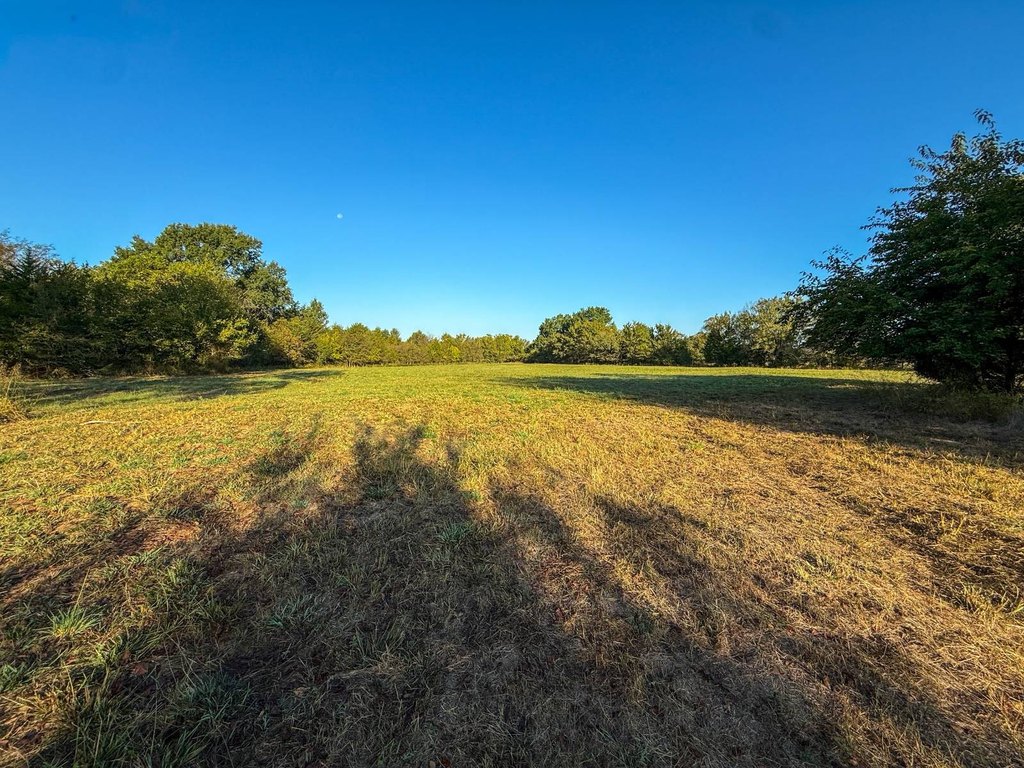 Picture 56
